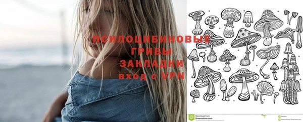 крисы Аркадак