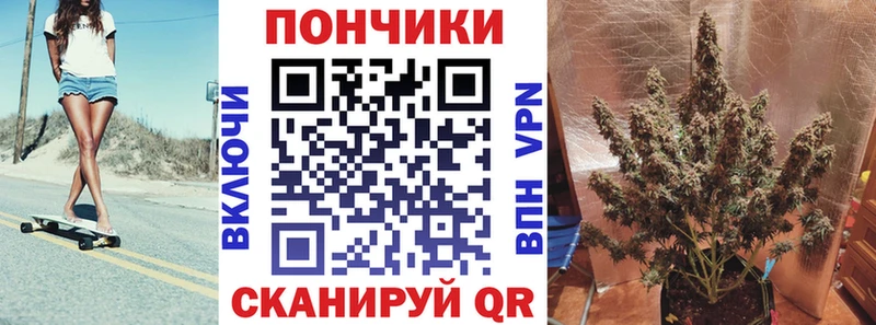 Купить  Суджа  Бошки Шишки планчик 